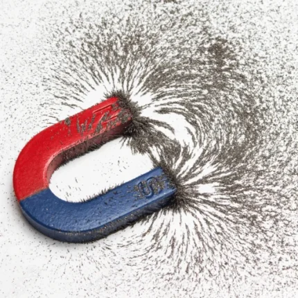 How the Magnetic Field Interacts 