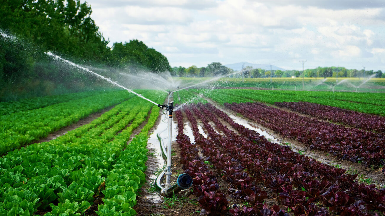 Irrigation of agricultural lands
