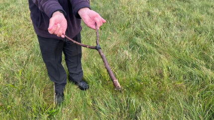 Dowsing