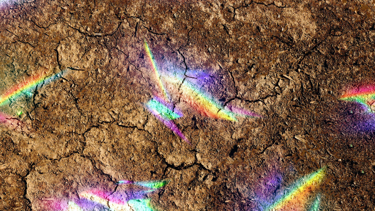 Cancel Soil Reflections